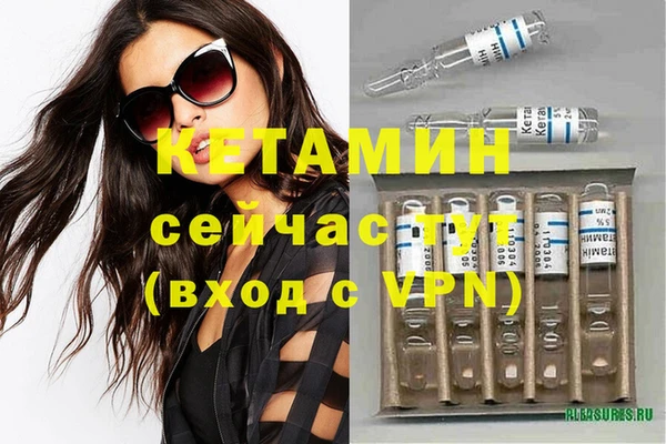 сатива Балахна