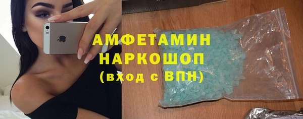 сатива Балахна