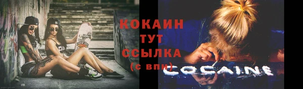 сатива Балахна