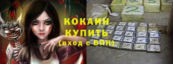 сатива Балахна