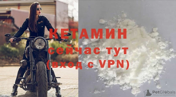 сатива Балахна