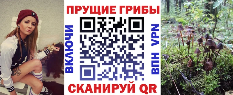 Галлюциногенные грибы Magic Shrooms  Великие Луки 